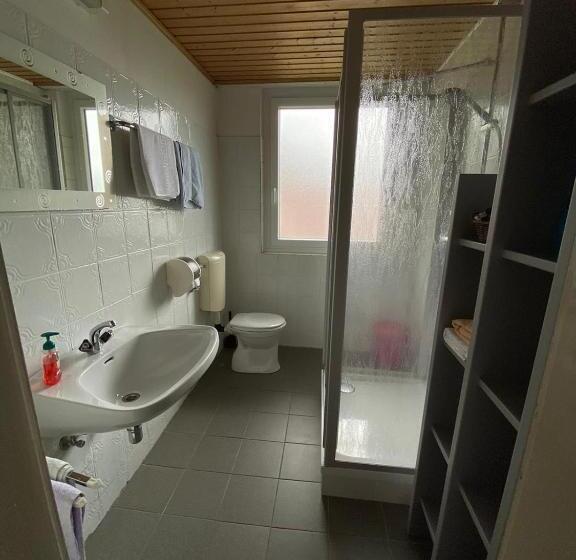 旅馆 Gasthaus Zum Stadtwald