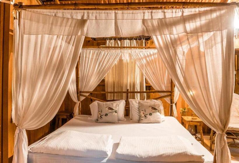 فندق صغير Jamboree Creek Yoga