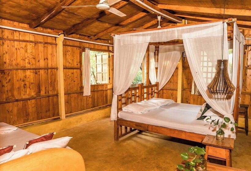 فندق صغير Jamboree Creek Yoga