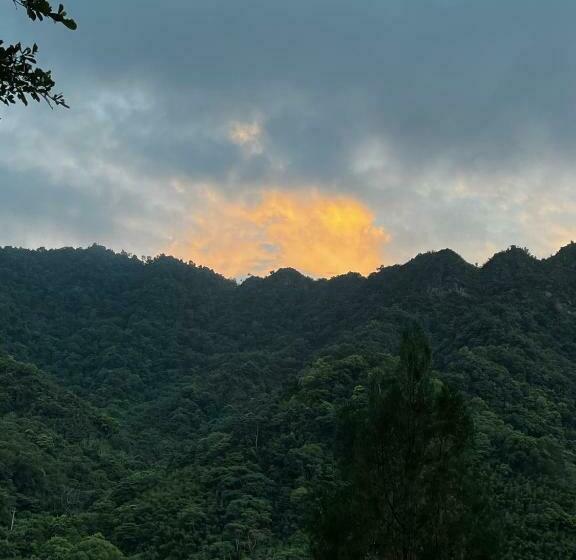 پانسیون Bo Zho Villa