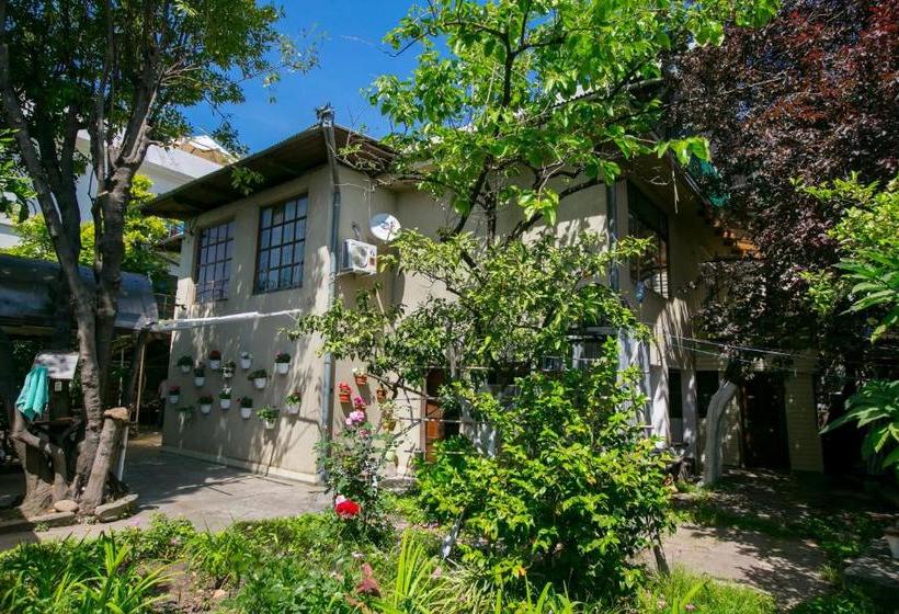 پانسیون Guest House Lavr