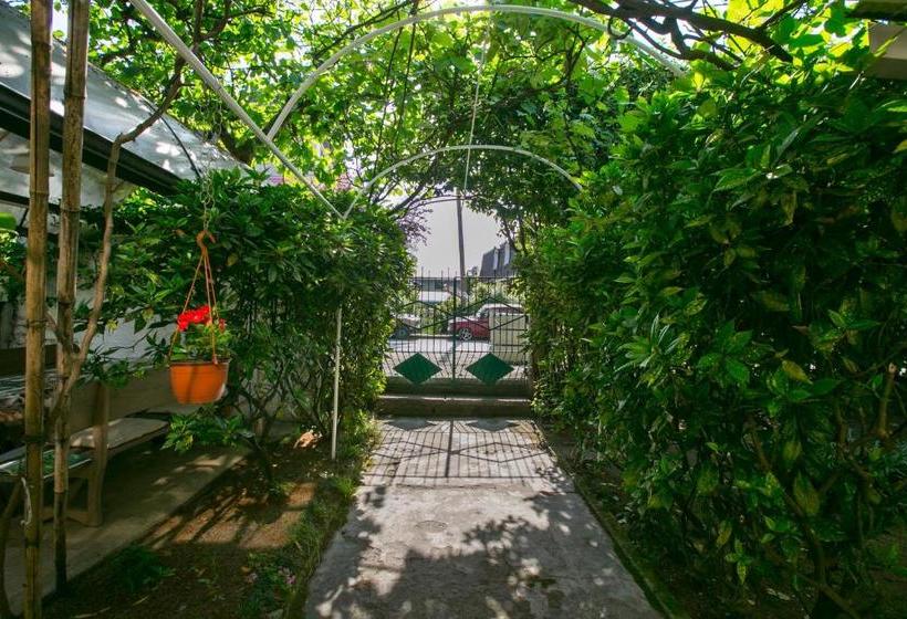 پانسیون Guest House Lavr