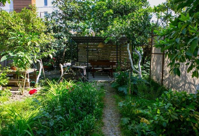 پانسیون Guest House Lavr