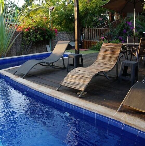 پانسیون Tribe