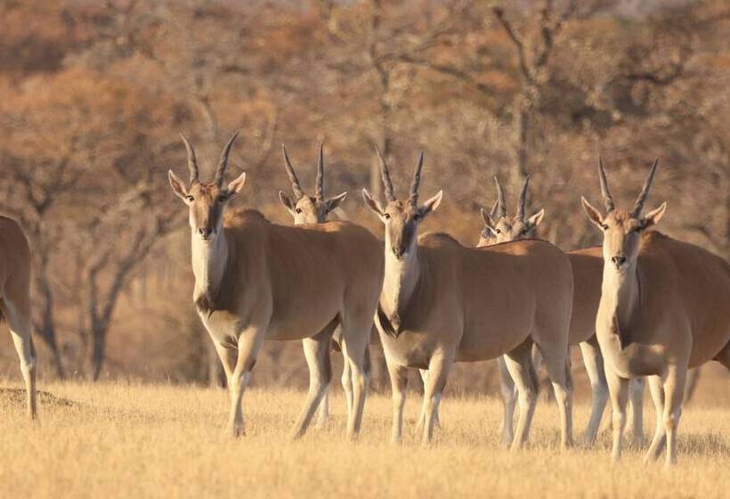 هتل Waterberg Cottages, Private Game Reserve