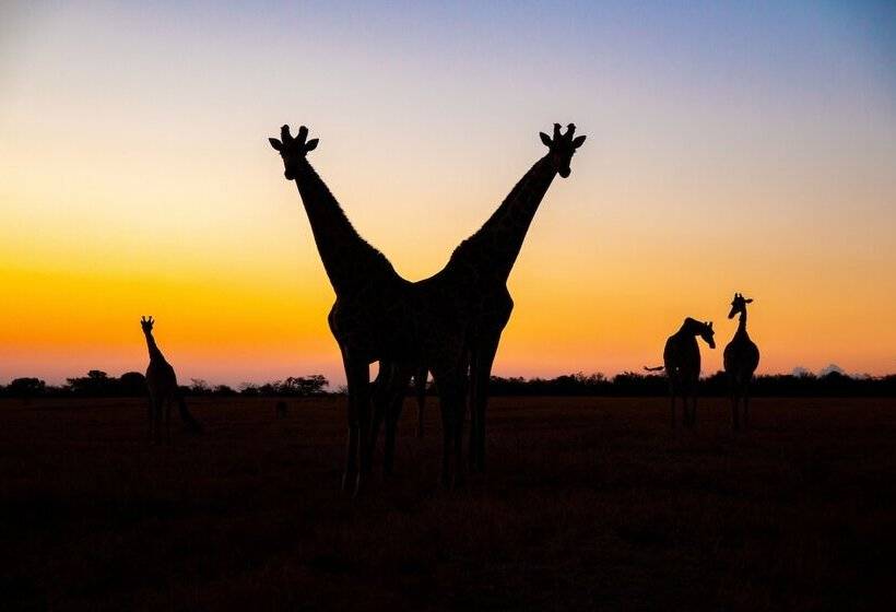 فندق Waterberg Cottages, Private Game Reserve