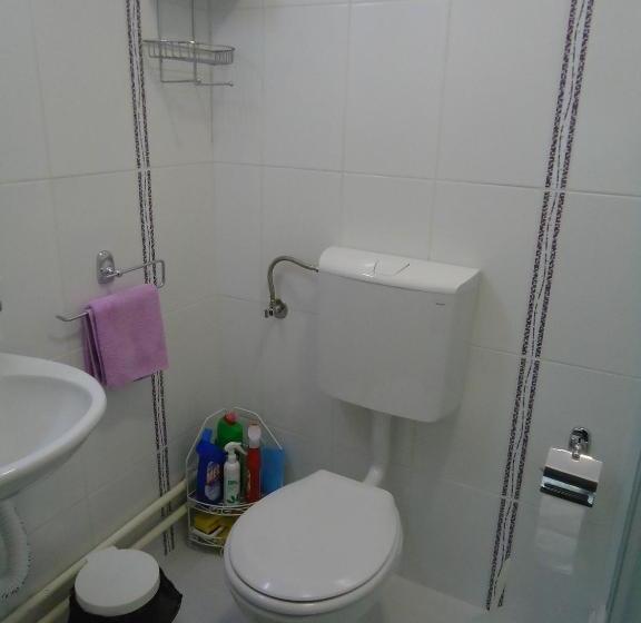 پانسیون Apartments Villa Svetlana