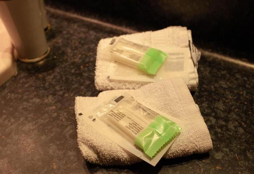 פנסיון Hôtel De L Ours