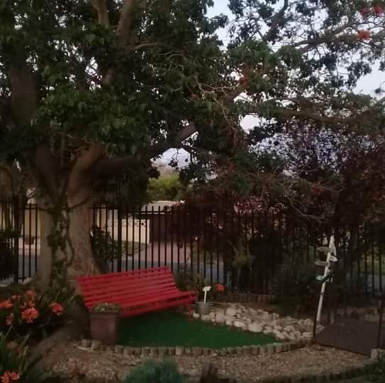 بنسيون Coral Tree Guest Rooms