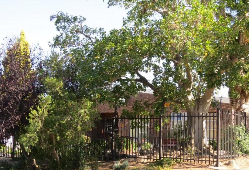 بنسيون Coral Tree Guest Rooms