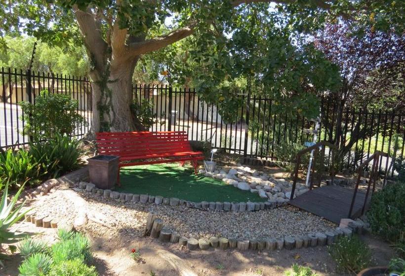 بنسيون Coral Tree Guest Rooms