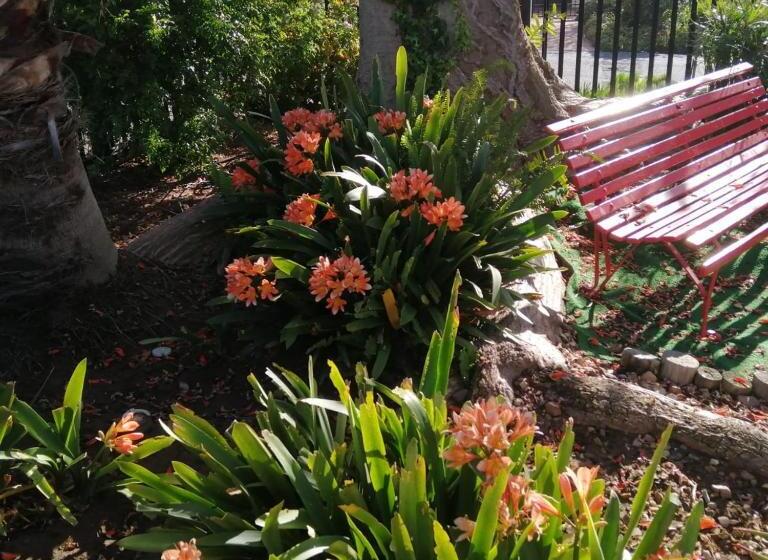 بنسيون Coral Tree Guest Rooms