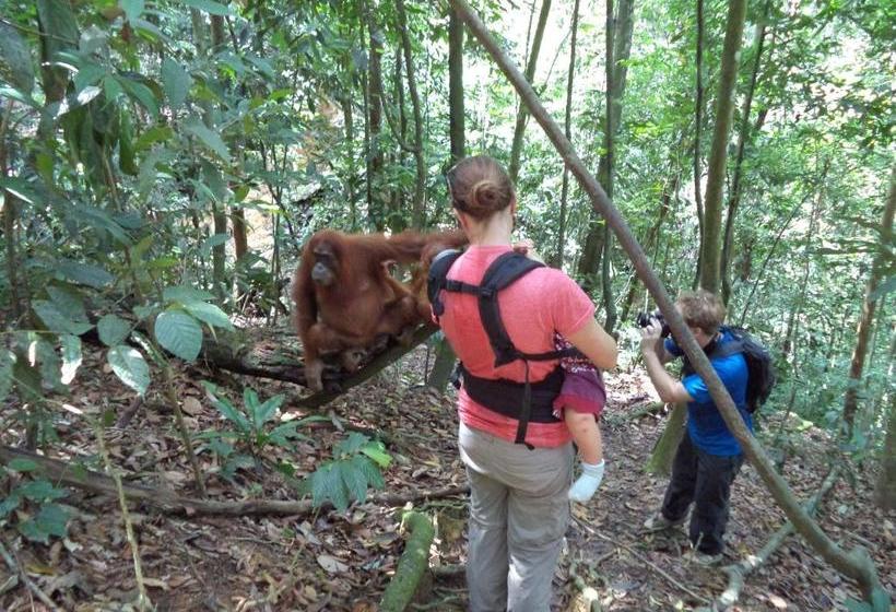 پانسیون Ida Guest House & Jungle Trekking