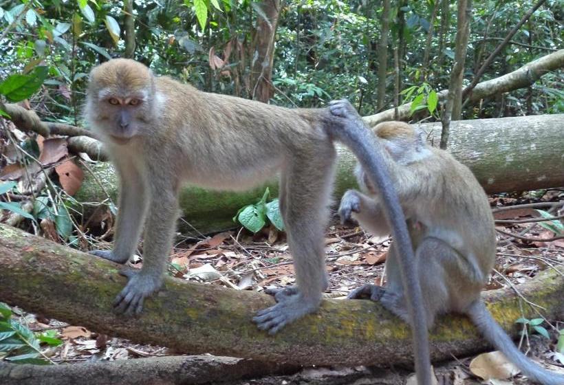 پانسیون Ida Guest House & Jungle Trekking