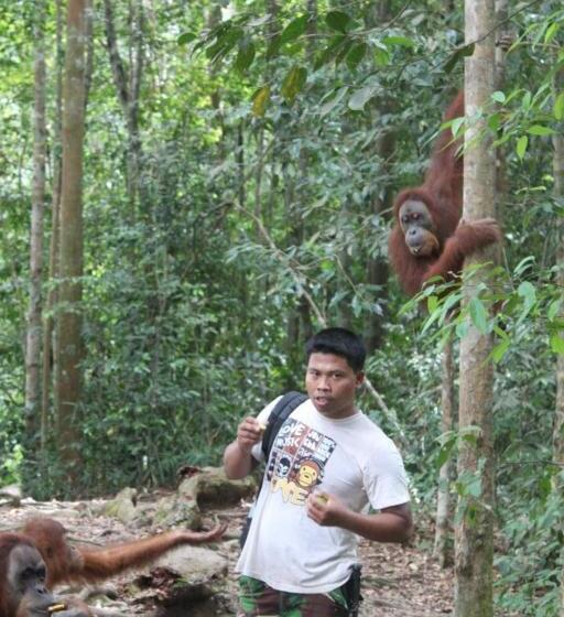 پانسیون Ida Guest House & Jungle Trekking