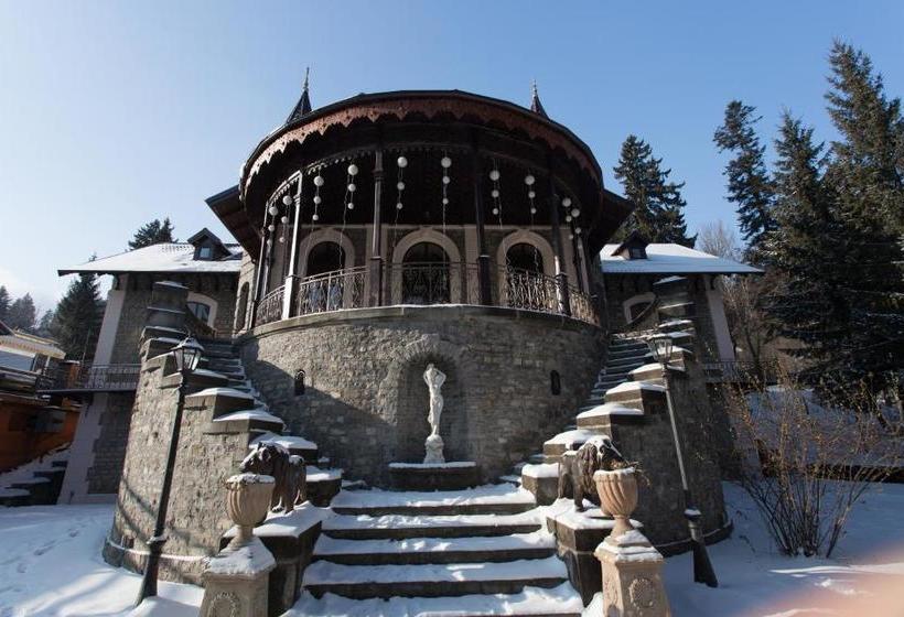بنسيون Castelul Stirbey