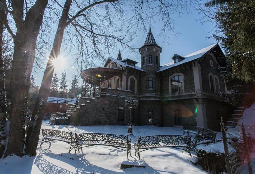 بنسيون Castelul Stirbey