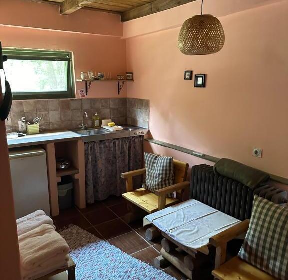 پانسیون Guest House Pikec