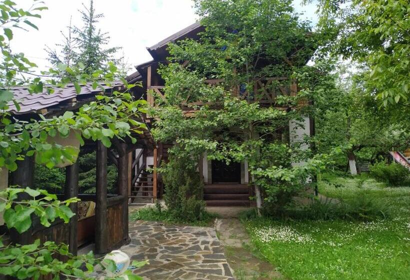 بنسيون Guest House Plai