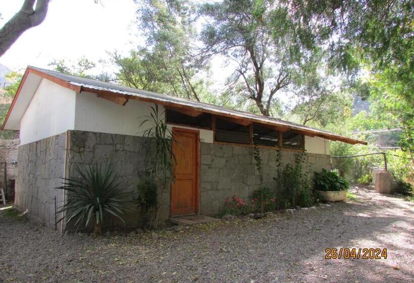 بنسيون Hostal Los Peñones