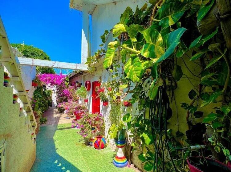 پانسیون Hostal Solsticio Guajiro