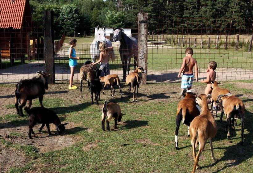 فندق Na Samotě Ve Srubu