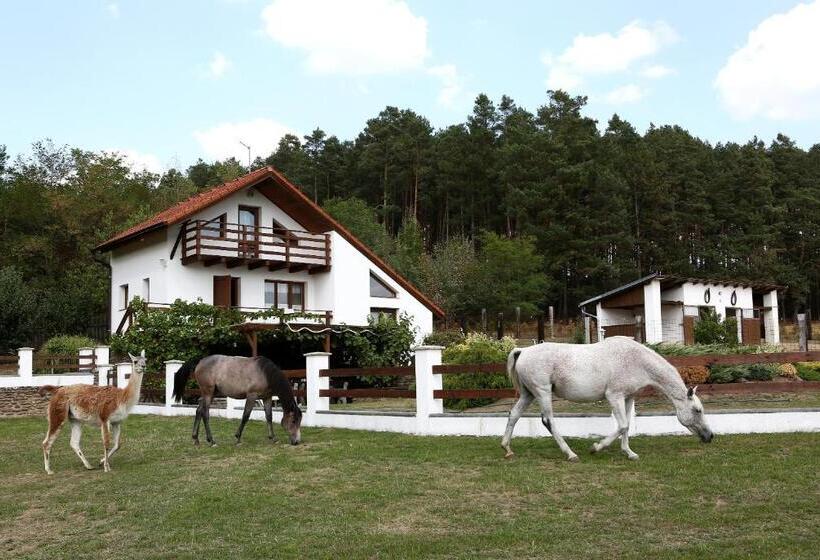 فندق Na Samotě Ve Srubu