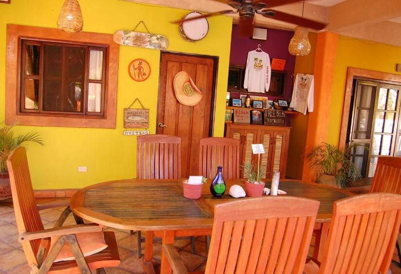 پانسیون Leo's Baja Oasis