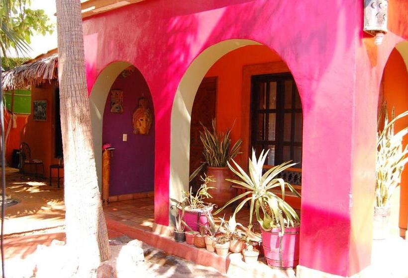 پانسیون Leo's Baja Oasis