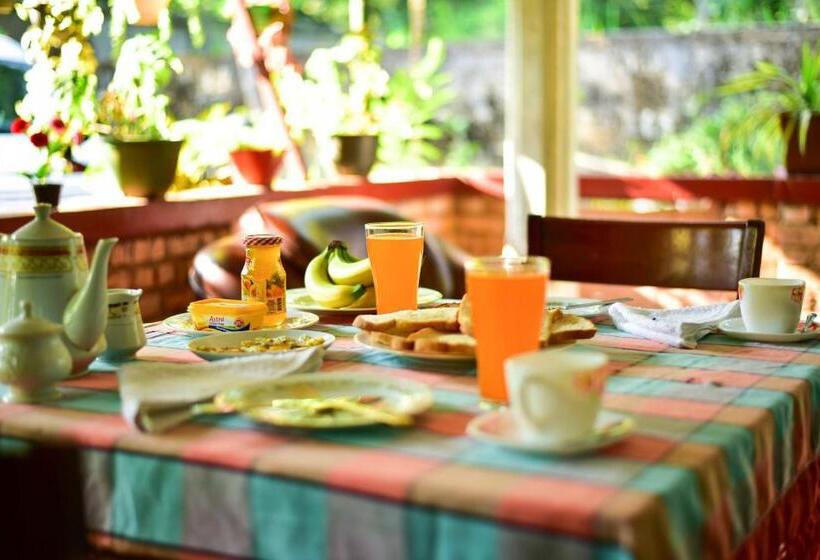 פנסיון Relax Guest House Dambulla