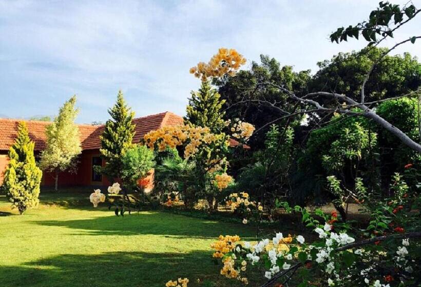 بنسيون Tranquilandia