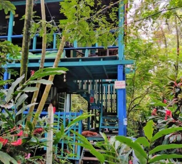 پانسیون Hostal La Bohemia