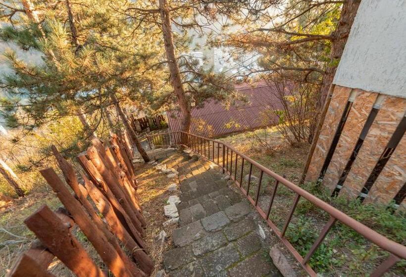 پانسیون Popock Dilijan 1