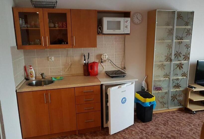 פנסיון Apartment Příbram