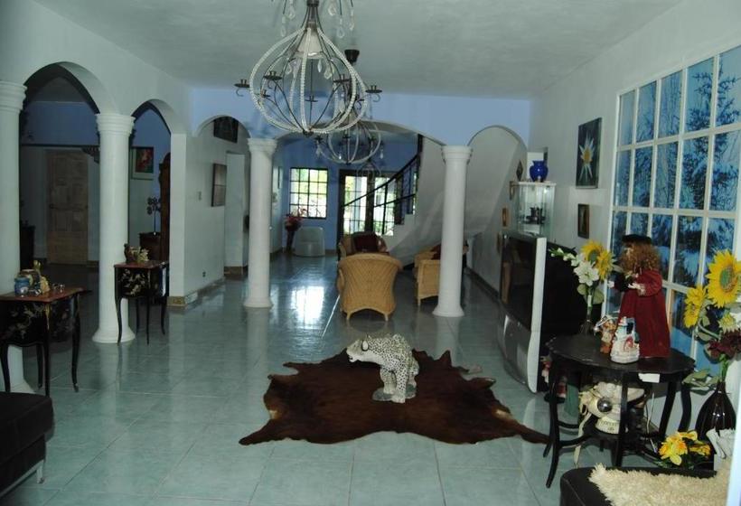 پانسیون Little Savoy Guest House