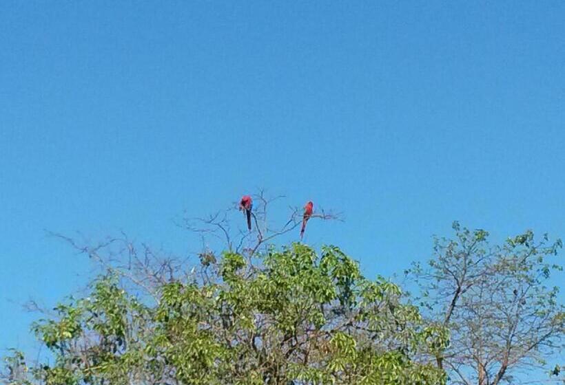 بنسيون Pousada Das Orquídeas