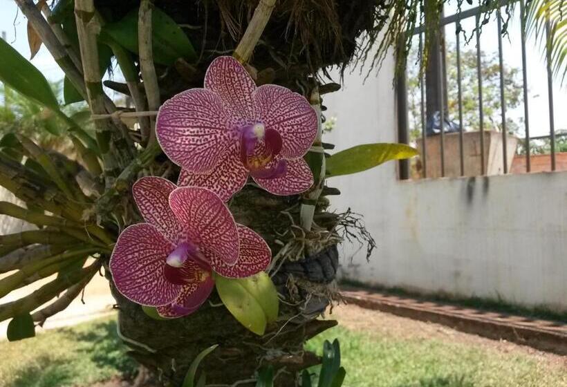 بنسيون Pousada Das Orquídeas