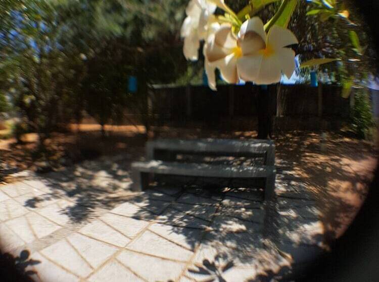 پانسیون The Danish Villa Resort