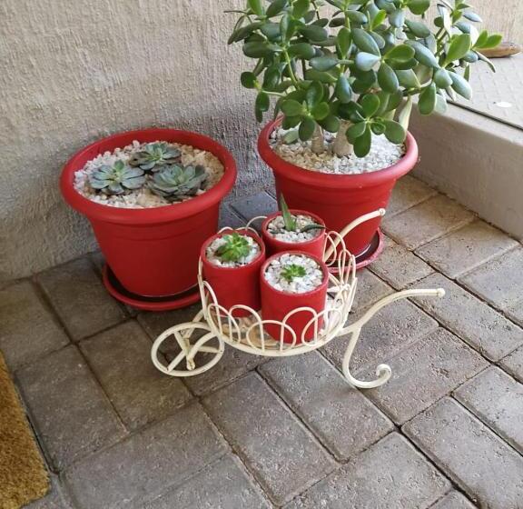 پانسیون Kalahari Rus