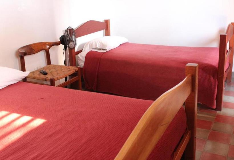 هاستل Backpackers Inn