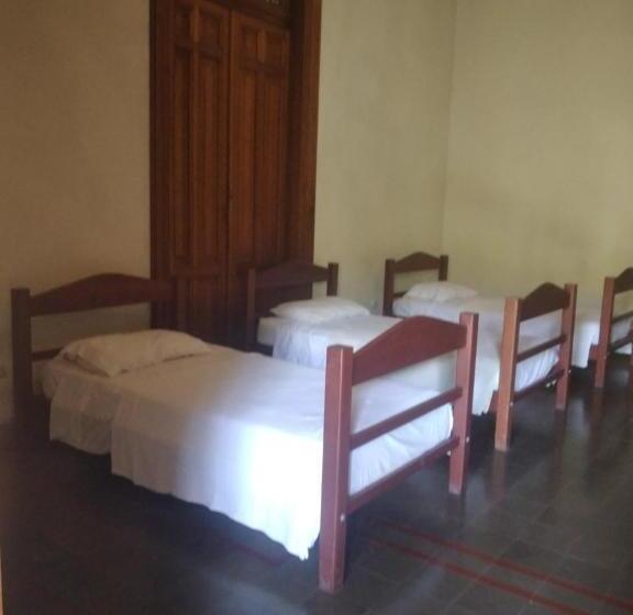 هاستل Backpackers Inn