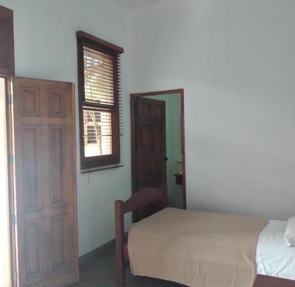 هاستل Backpackers Inn