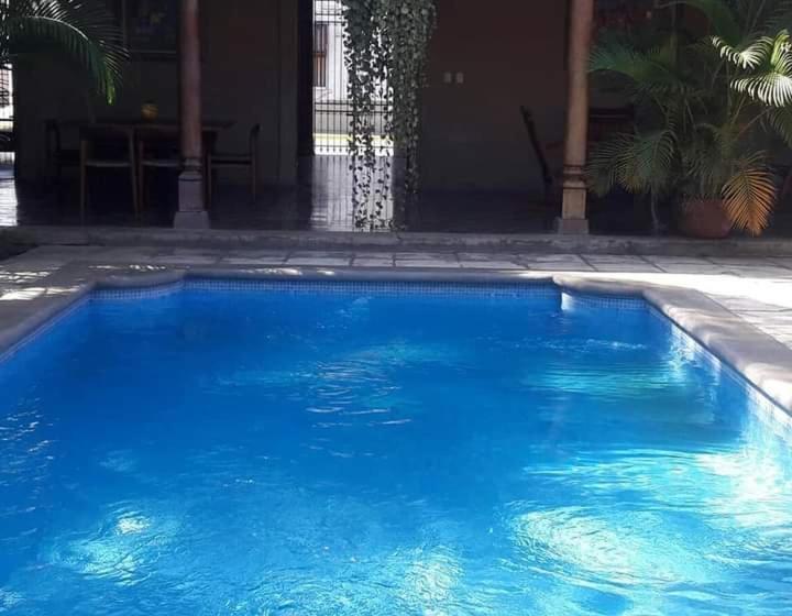 هاستل Backpackers Inn