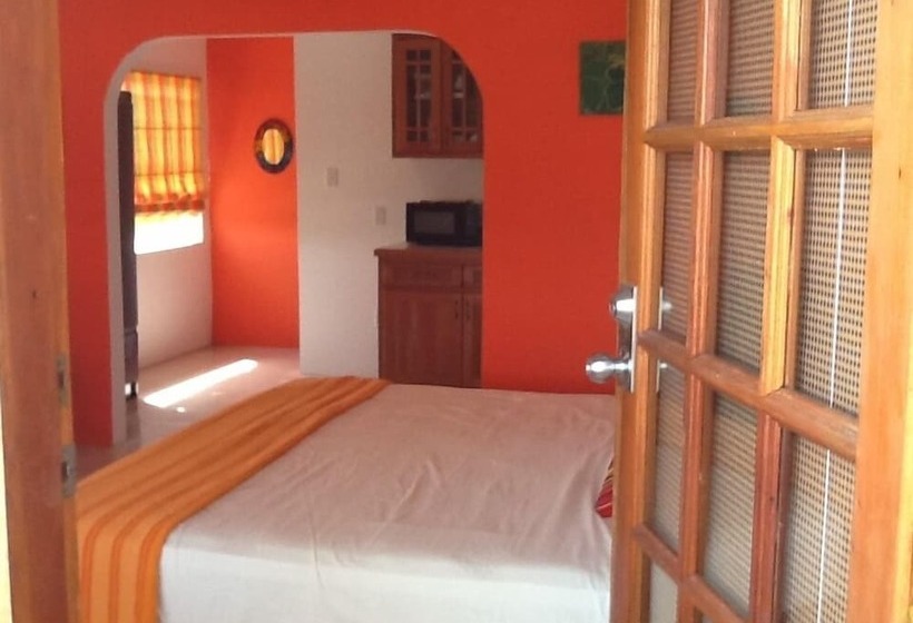 هاستل Bamboleo Inn Belize