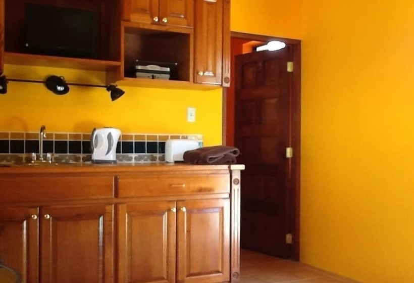 هاستل Bamboleo Inn Belize