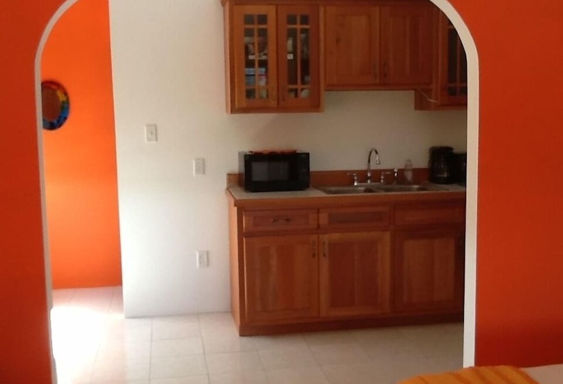 هاستل Bamboleo Inn Belize