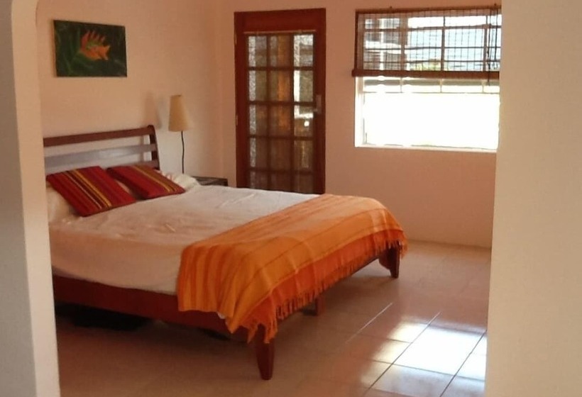هاستل Bamboleo Inn Belize