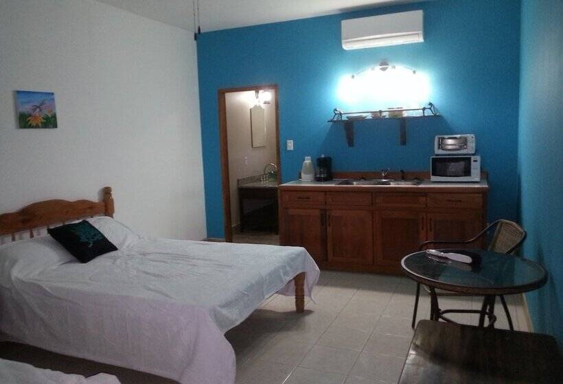 هاستل Bamboleo Inn Belize