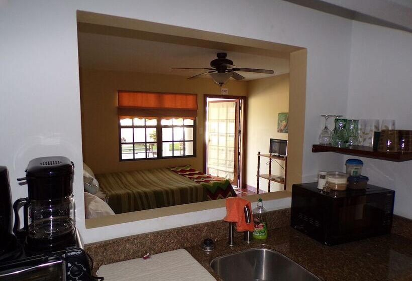 هاستل Bamboleo Inn Belize