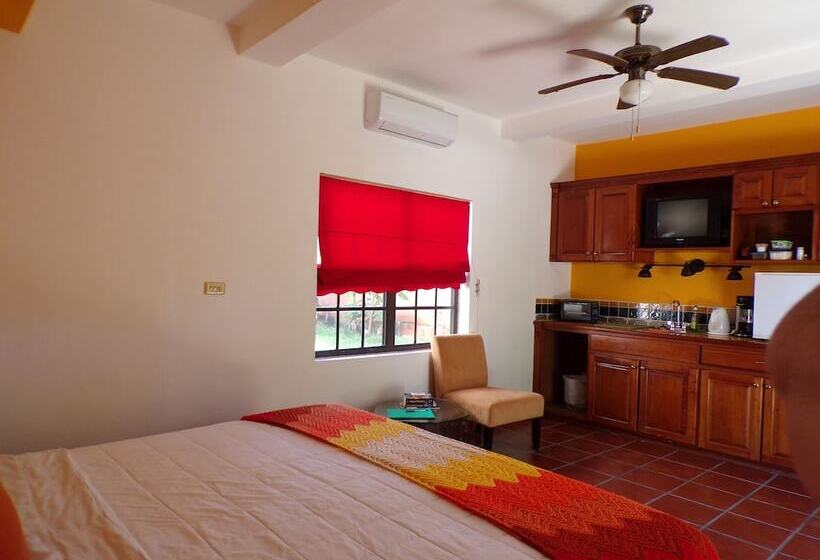 هاستل Bamboleo Inn Belize